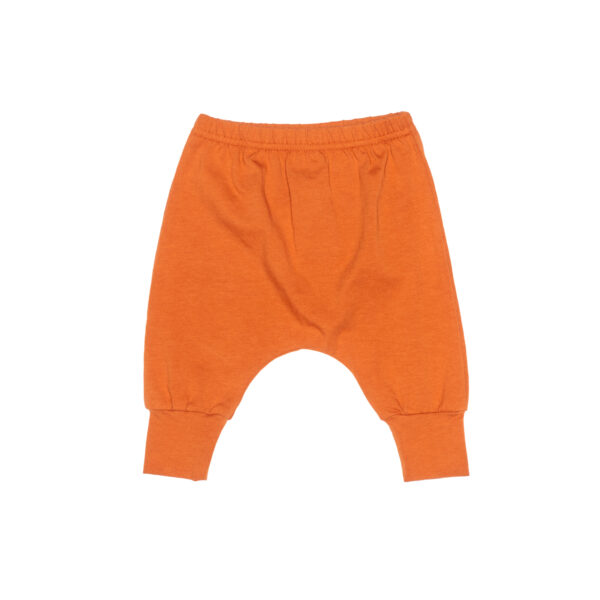 beebi püksid roostekarva