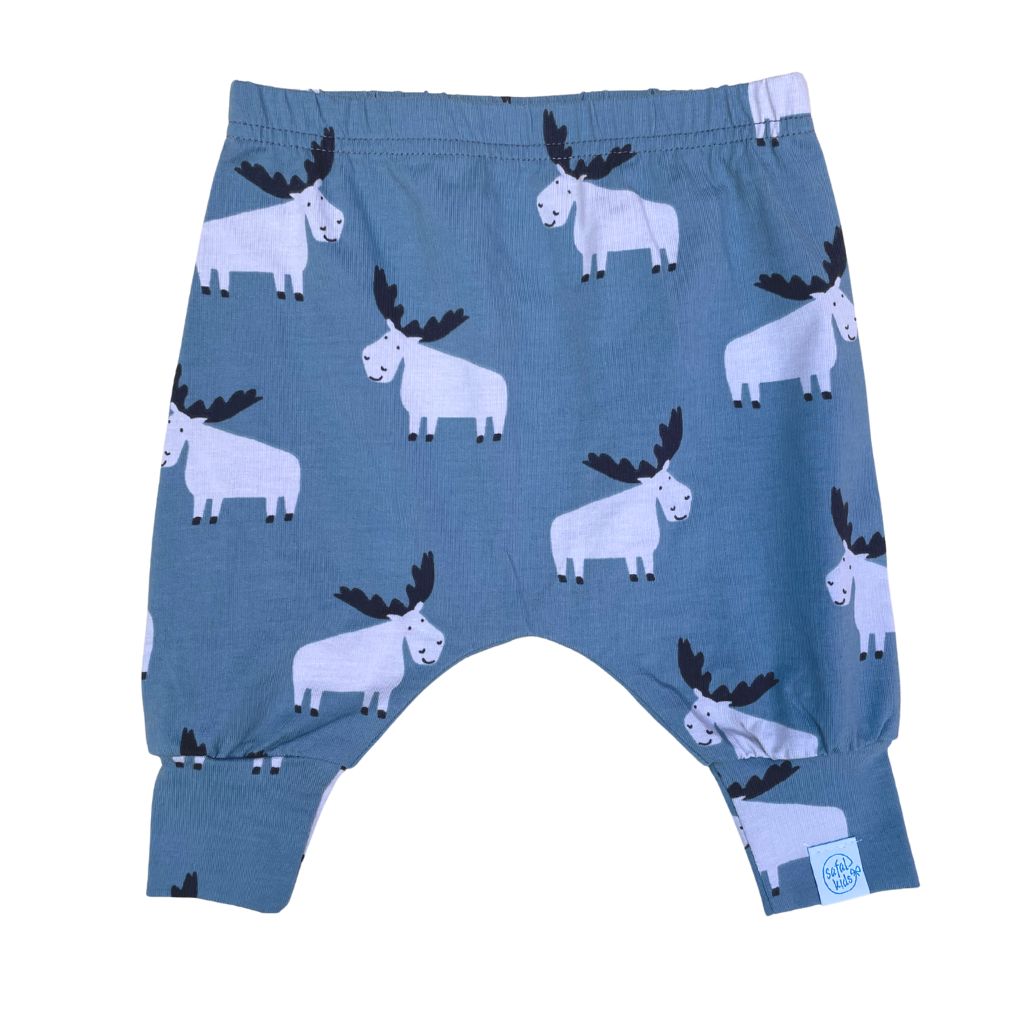 haaremid põdrad safal kids